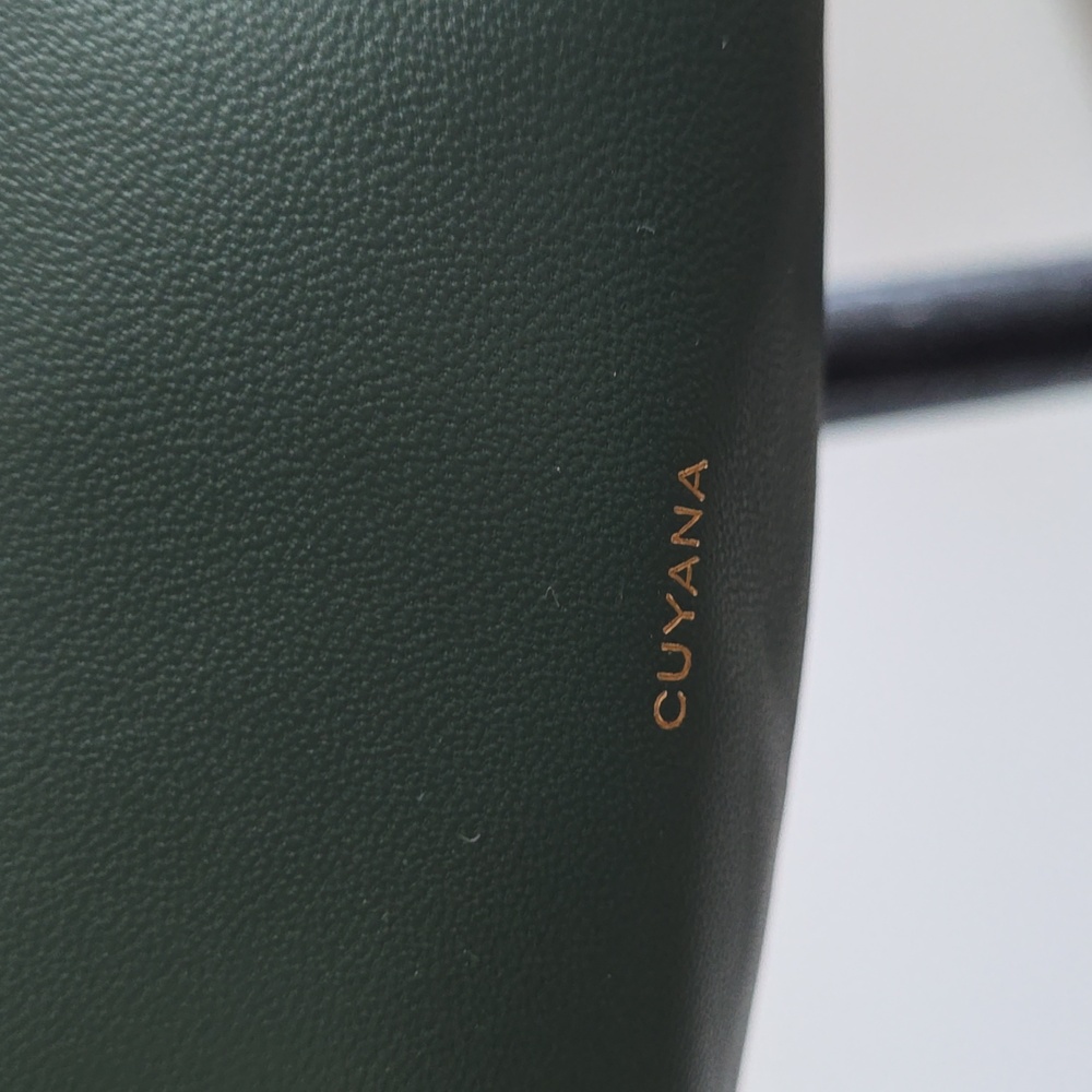 NWT Cuyana Mini Celestia Bag In Bottle Green - Picture 6 of 12